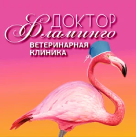 logo Доктор Фламинго Темерник