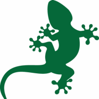 logo Tree To Tree