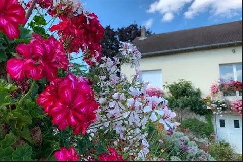 banner Maison FLRURIE BUGARAMA