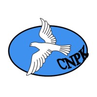 logo CENTRE NEURO-PSYCHIATRIQUE DE KAMENGE (CNPK)