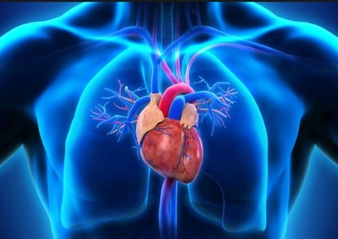 banner Cardiologie