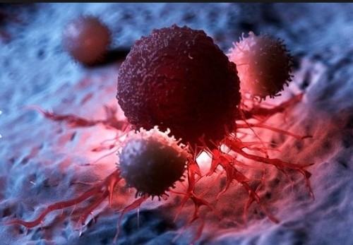 banner Oncologie (cancer)
