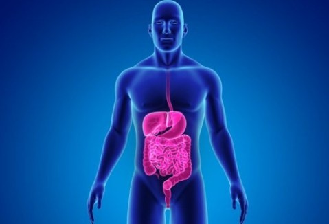 banner Chirurgie visc&eacute;rale