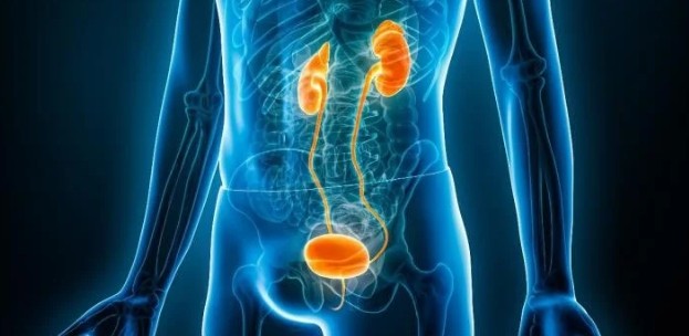 banner Chirurgie urologique