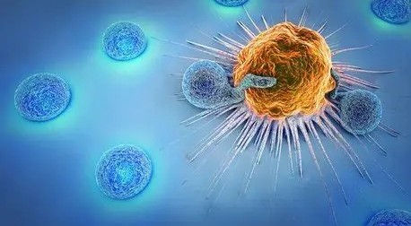 banner Traitement de cancer lymphomes