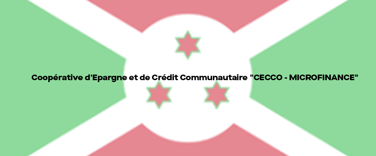 banner CECCO - MICROFINANCE