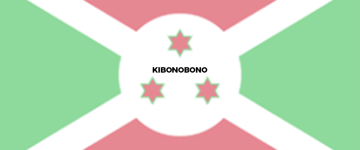 banner KIBONOBONO