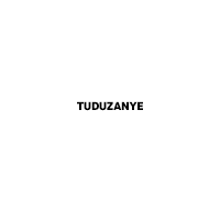 logo TUDUZANYE